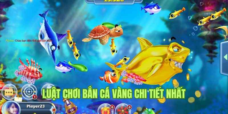 Chia sẻ chi tiết cách chơi game bắn cá Vàng cho người mới