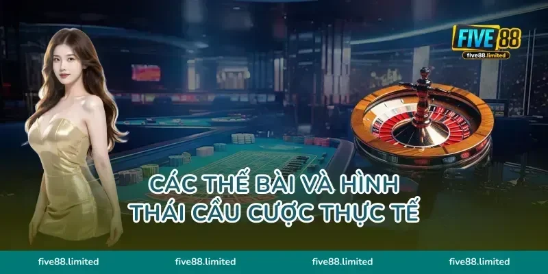Các thế bài và hình thái cầu cược thực tế