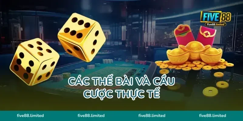 Các thế bài và cầu cược thực tế